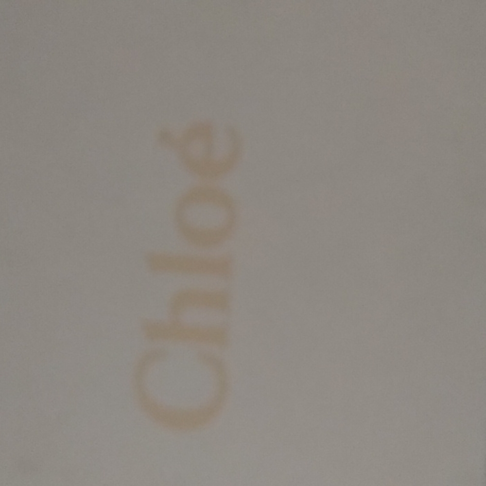 Chloe sandals